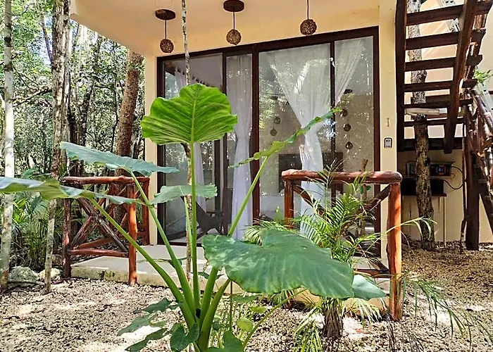 Saasil Kaax Hotel *