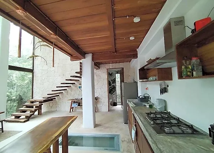 Saasil Kaax Riviera Maya