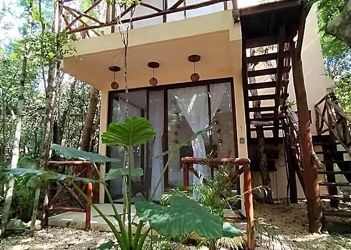 Saasil Kaax * Riviera Maya
